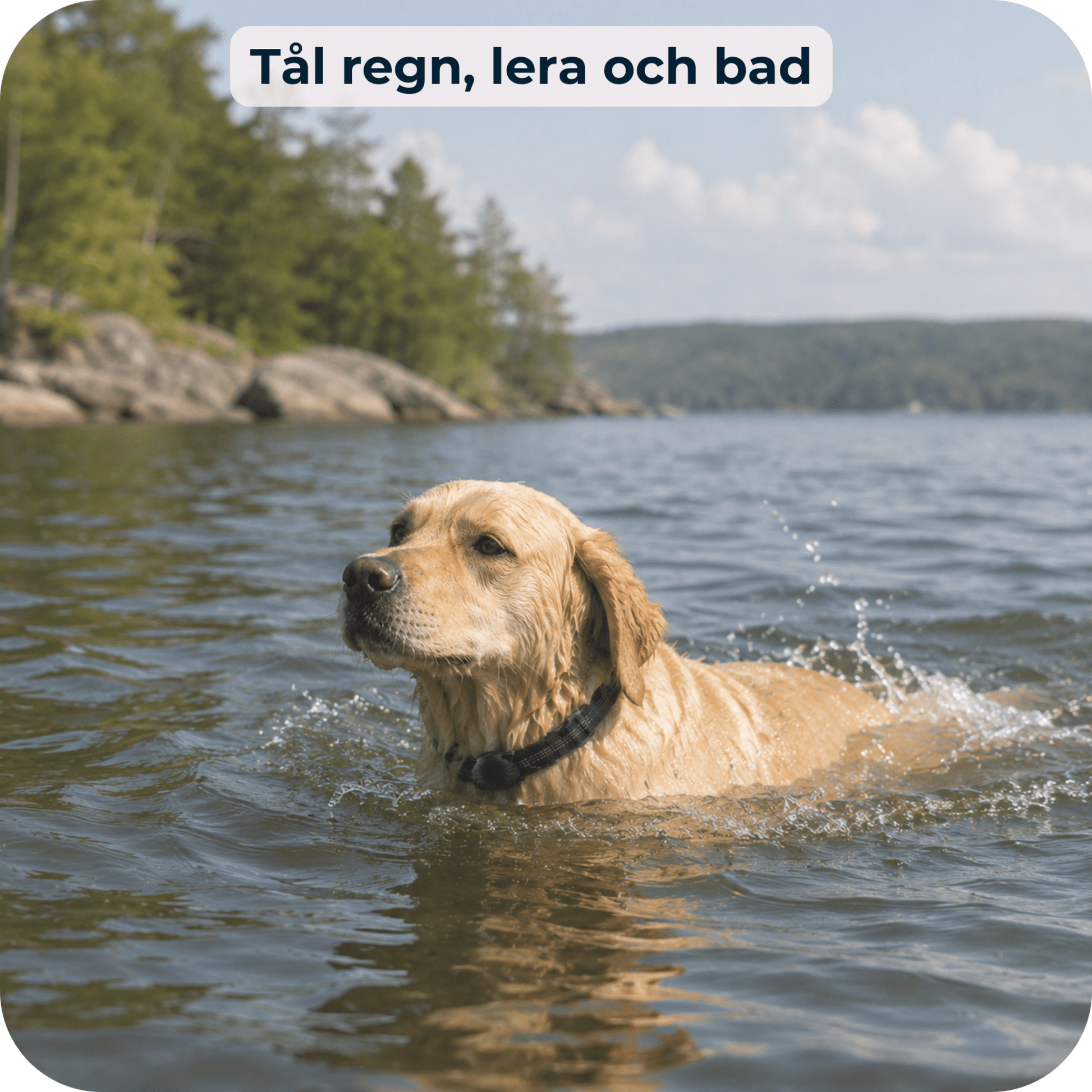 AirTrackTag Hundpaket - AirTrackTag