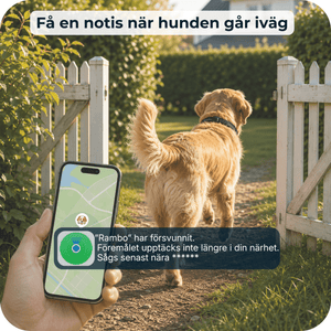 AirTrackTag Hundpaket - AirTrackTag