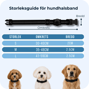 AirTrackTag Hundpaket - AirTrackTag