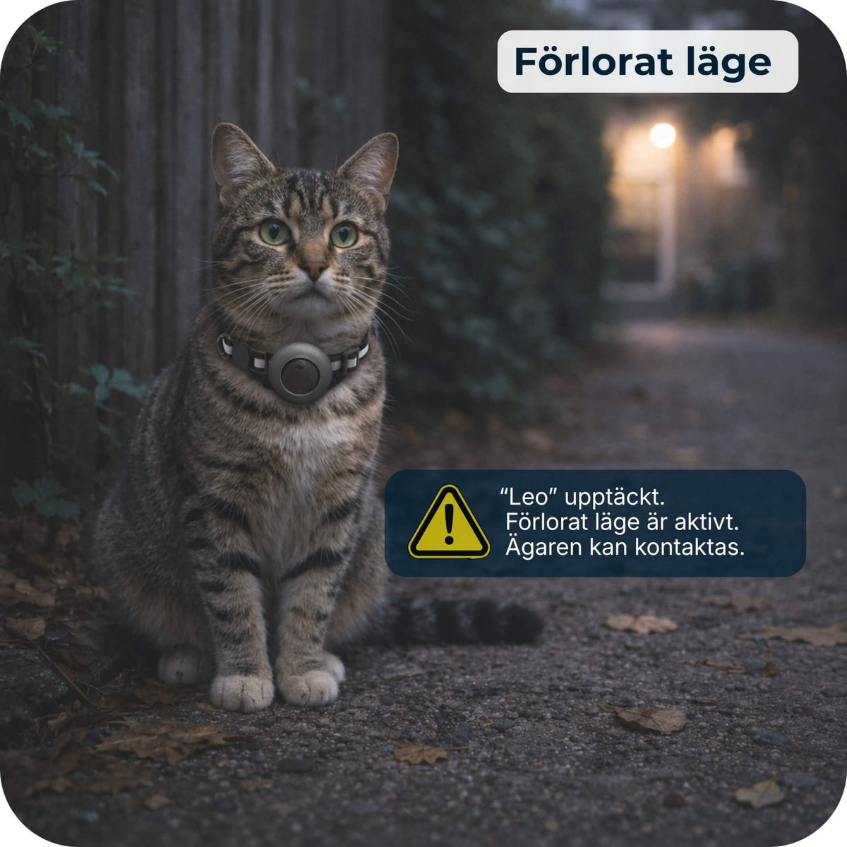 AirTrackTag Kattpaket - AirTrackTag