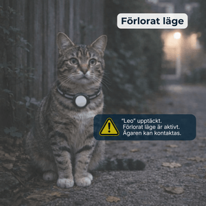 AirTrackTag Kattpaket - AirTrackTag