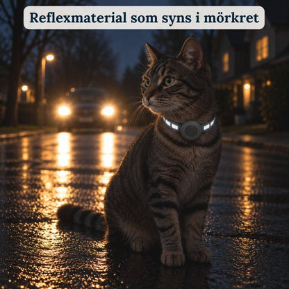AirTrackTag Kattpaket - AirTrackTag
