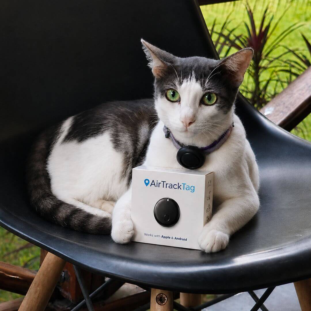 AirTrackTag Kattpaket - AirTrackTag