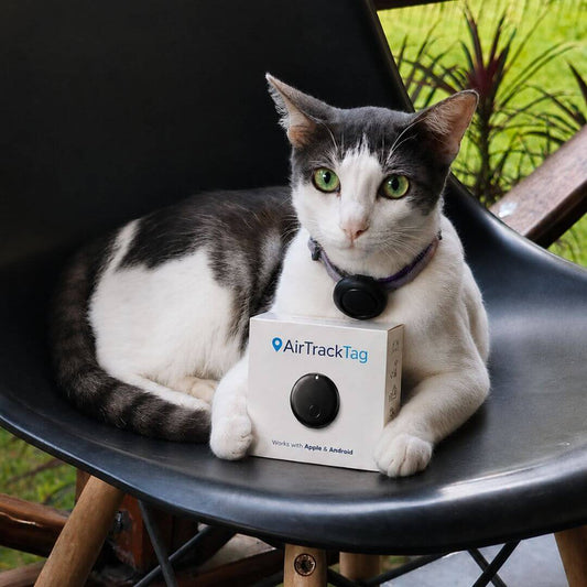 AirTrackTag Kattpaket - AirTrackTag