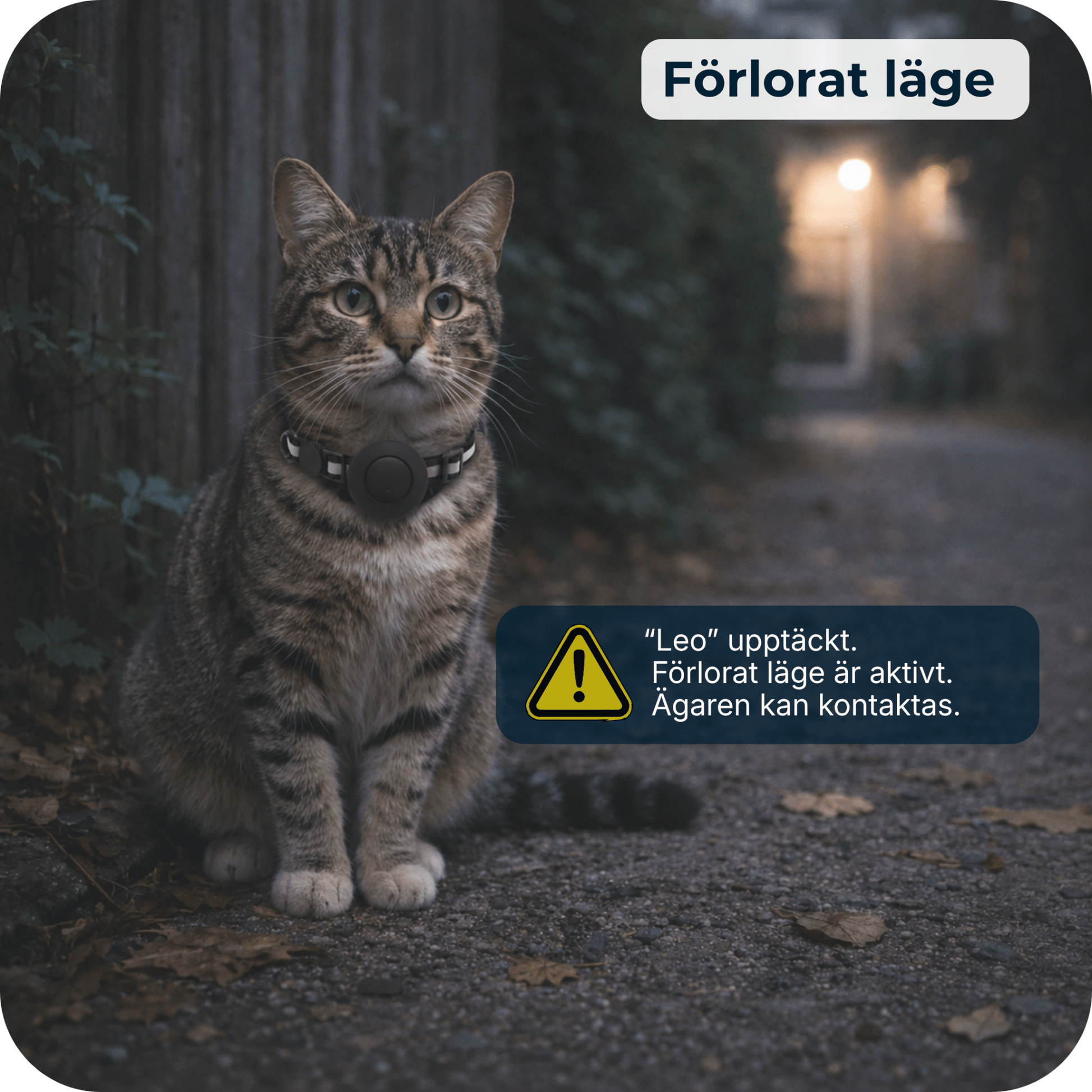 AirTrackTag Kattpaket - AirTrackTag