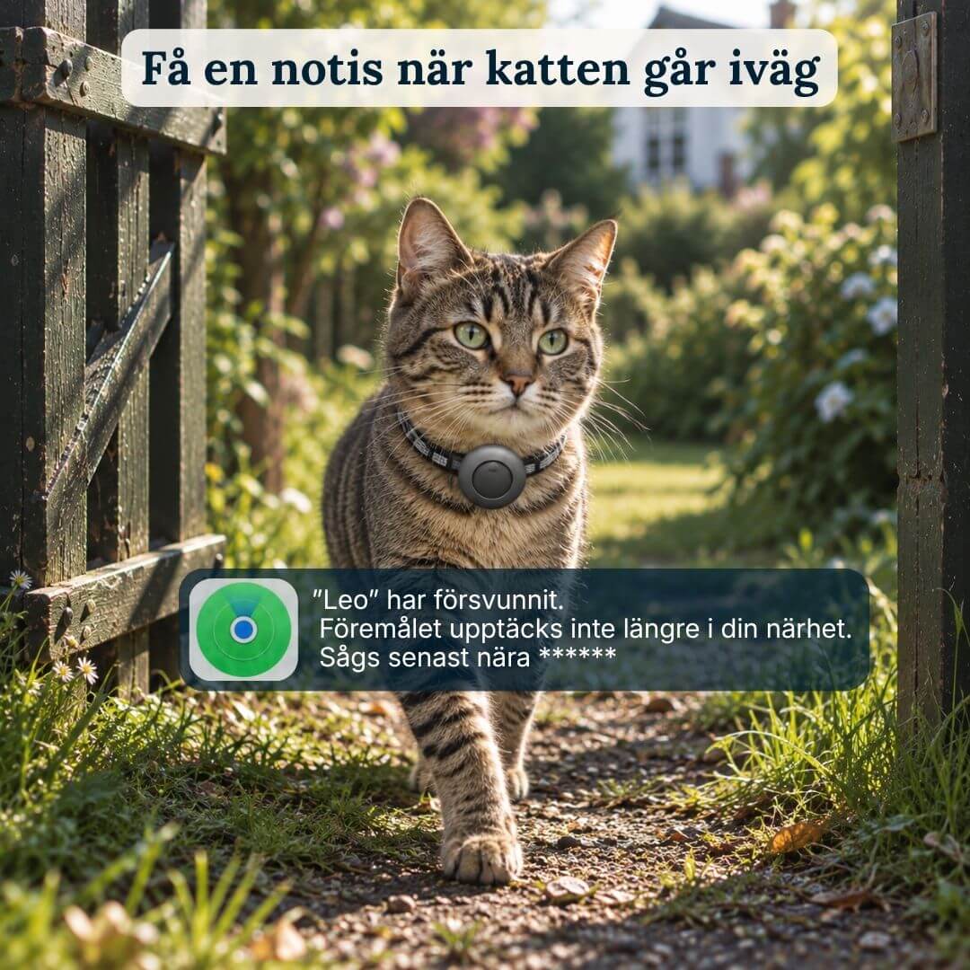 AirTrackTag Kattpaket - AirTrackTag