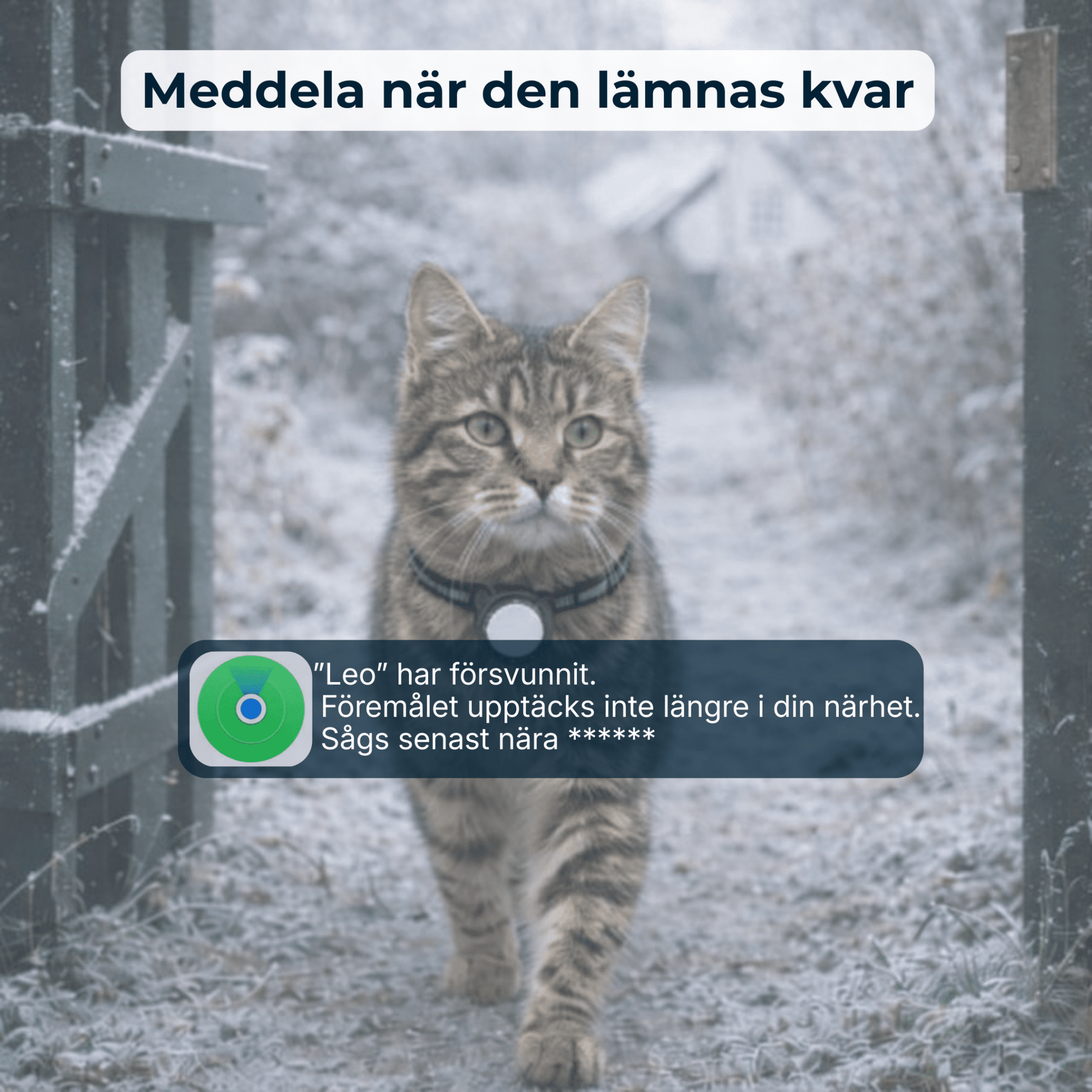 AirTrackTag Kattpaket - AirTrackTag