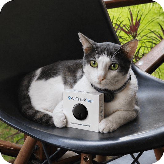 AirTrackTag Kattpaket - AirTrackTag