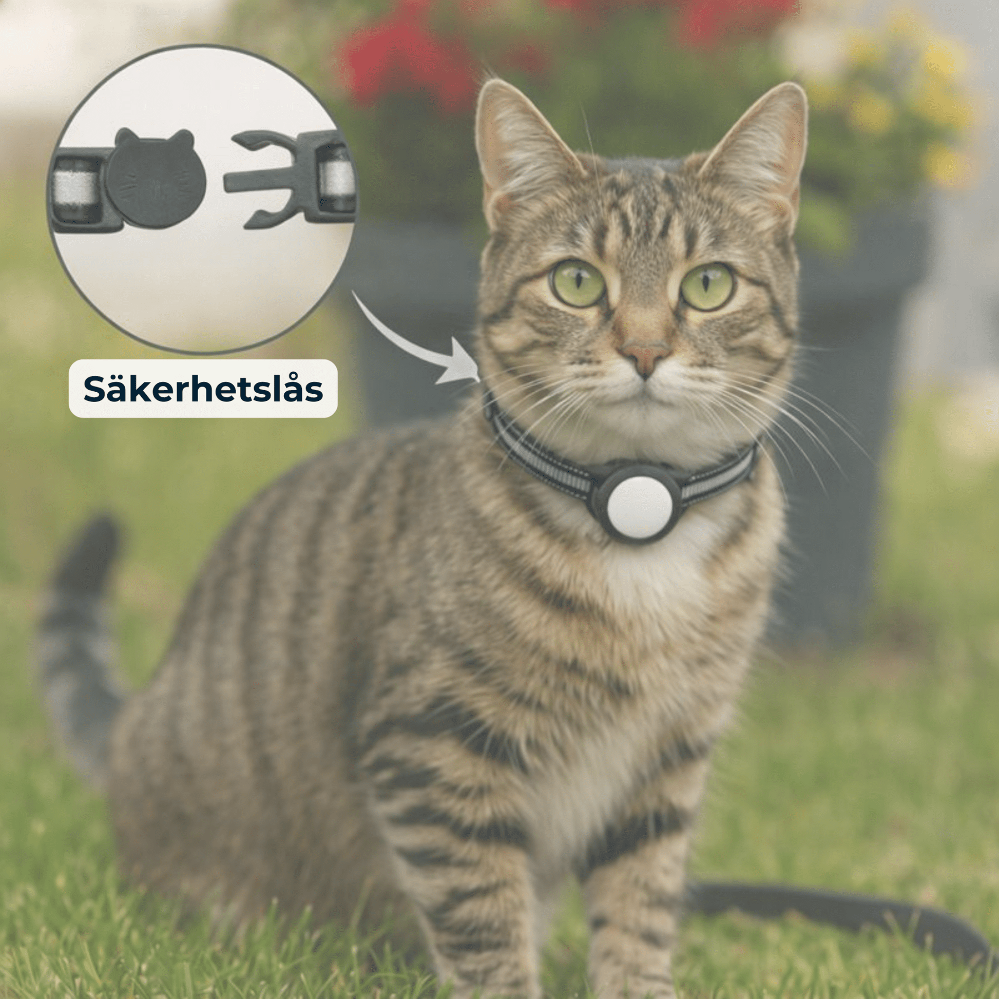 AirTrackTag Kattpaket - AirTrackTag