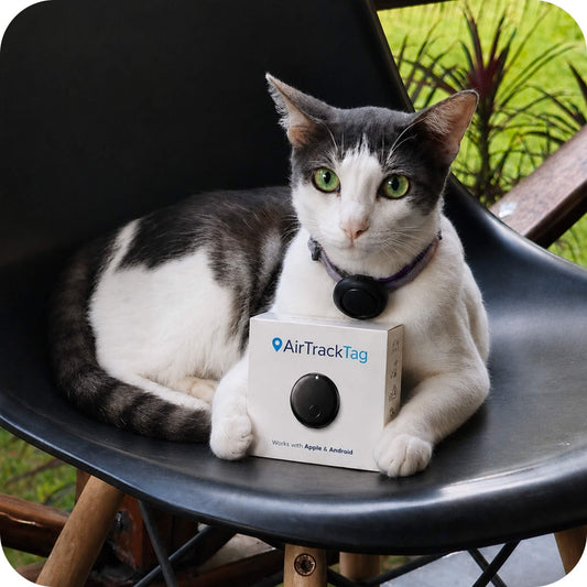AirTrackTag Kattpaket - AirTrackTag