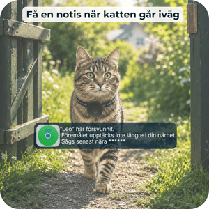 AirTrackTag Kattpaket - AirTrackTag