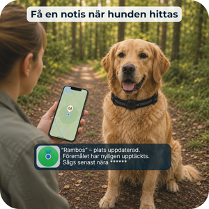 AirTrackTag Hundpaket