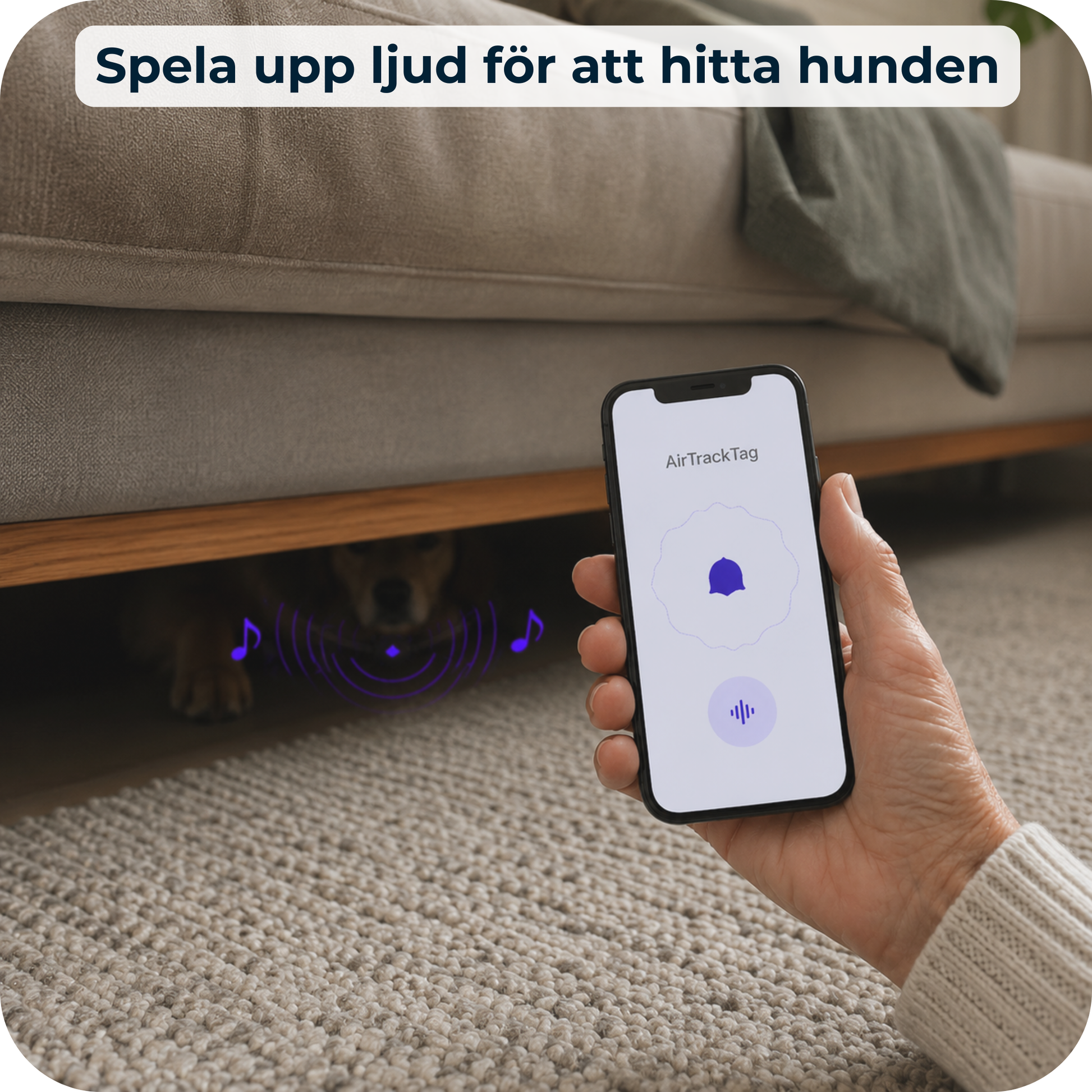 AirTrackTag Hundpaket